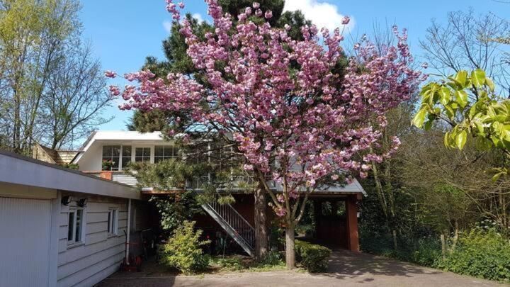 Welcome In - Appartement - Valkenisseweg 68 L Biggekerke 'Strand Appartement' מראה חיצוני תמונה